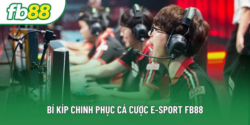 Bí kíp chinh phục cá cược E-sport FB88 Bí kíp chinh phục cá cược E-sport FB88