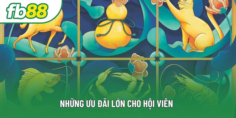 Những ưu đãi lớn cho hội viên